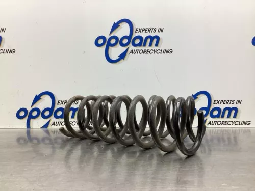 Schroefveer achter-7609723