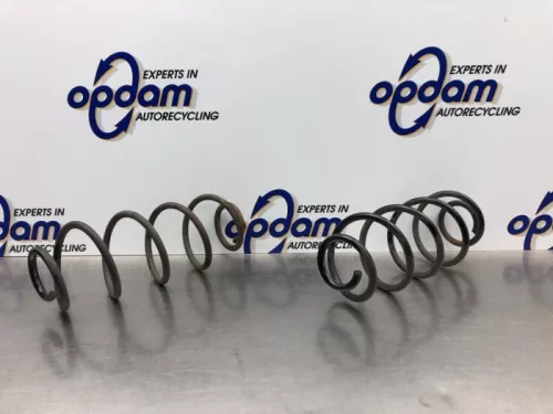 Schroefveer achter-8180696