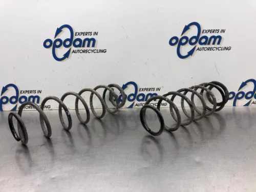 Schroefveer achter-8175504