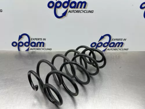 Schroefveer achter-8170330