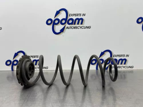 Schroefveer achter-8294315