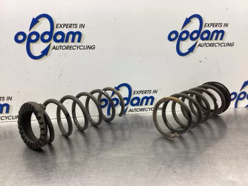 Schroefveer achter-8093788