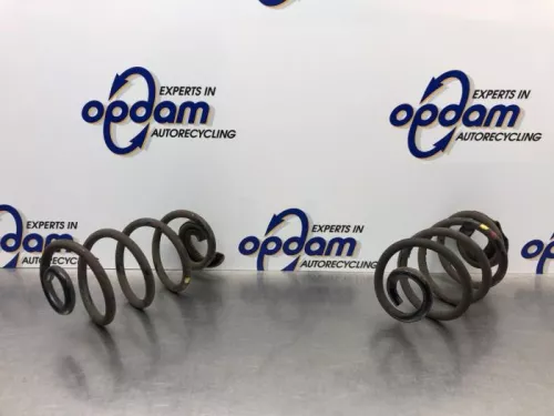 Schroefveer achter-8179030