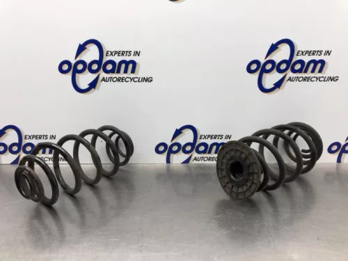 Schroefveer achter-8216902