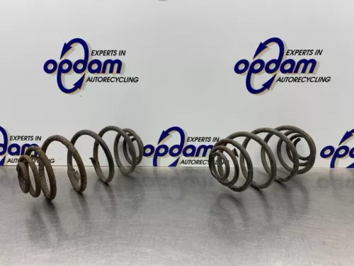 Schroefveer achter-8272633