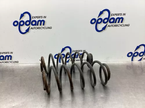 Schroefveer achter-7850864