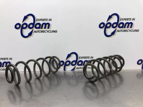 Schroefveer achter-8197194