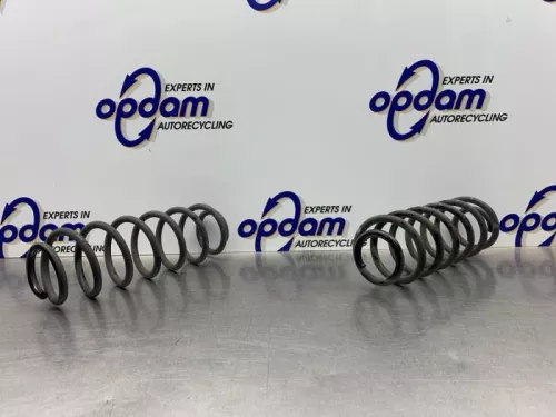 Schroefveer achter-8280159