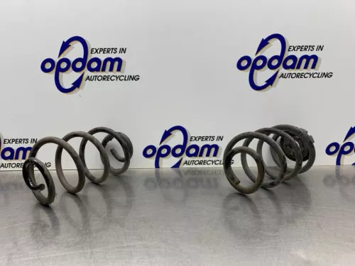 Schroefveer achter-8275549