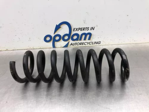 Schroefveer achter-8156930