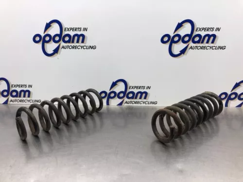 Schroefveer achter-8245983