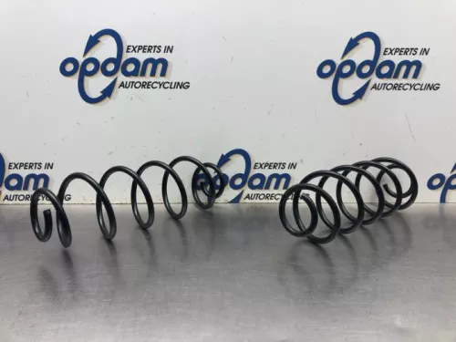 Schroefveer achter-8144299