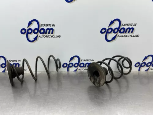 Schroefveer achter-8317116