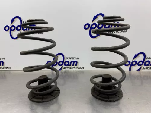 Schroefveer achter-8327908