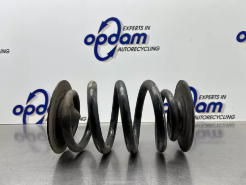 Schroefveer achter-8236793