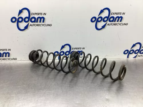 Schroefveer achter-8091599