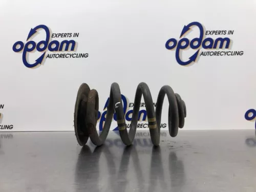 Schroefveer achter-8177748