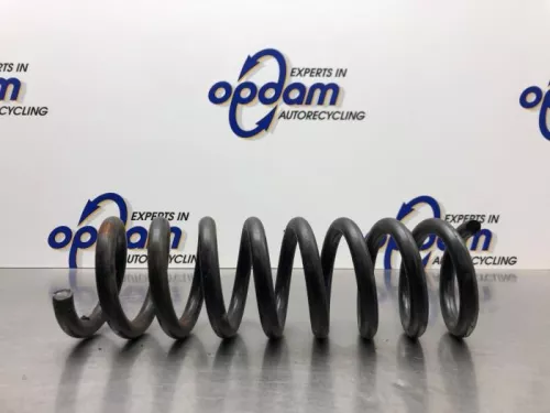 Schroefveer achter-8137998