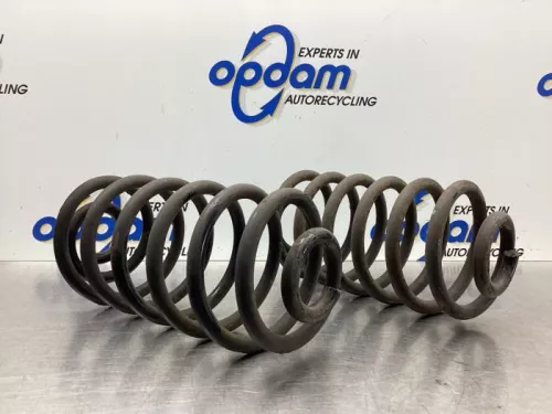 Schroefveer achter-8049881