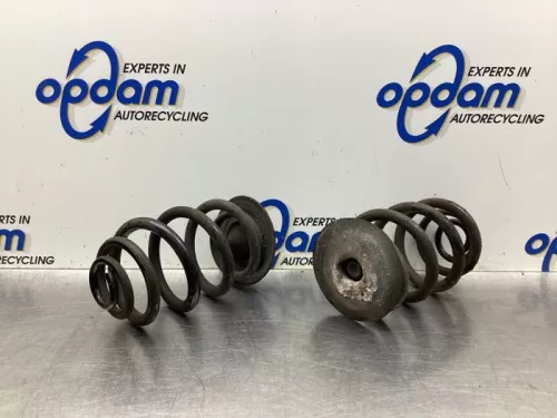 Schroefveer achter-8101114