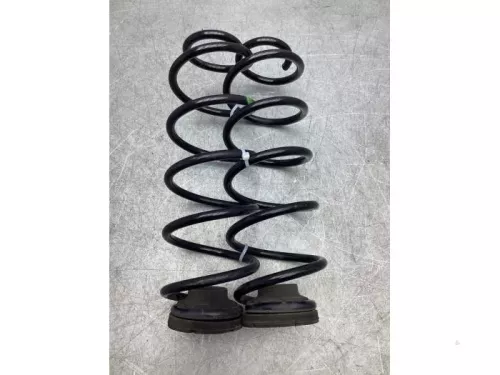 Schroefveer achter-7933683