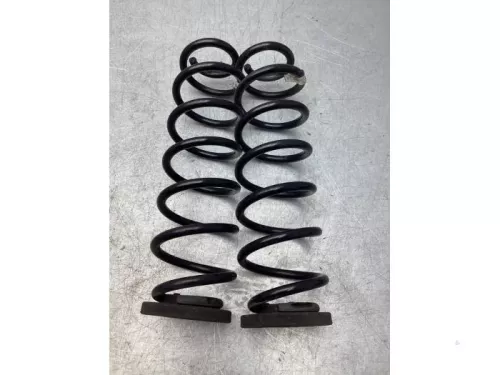 Schroefveer achter-7986746