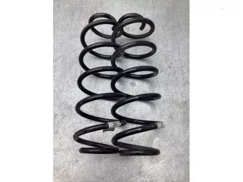 Schroefveer achter-8103792