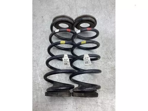 Schroefveer achter-8077815