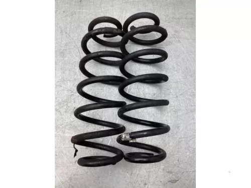 Schroefveer achter-8177285