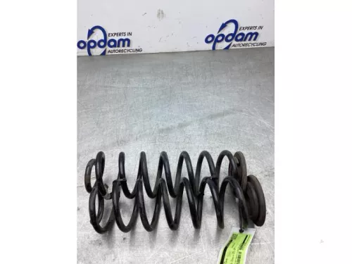 Schroefveer achter-8316524