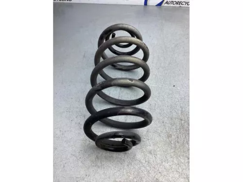 Schroefveer achter-6919003