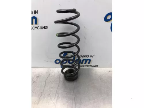 Schroefveer achter-7616367