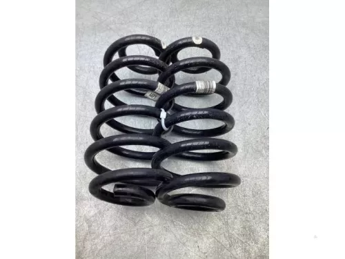 Schroefveer achter-6924154