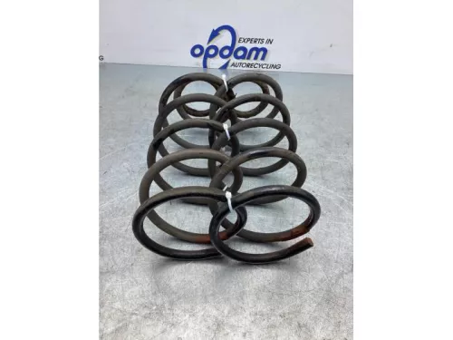 Schroefveer achter-7746316