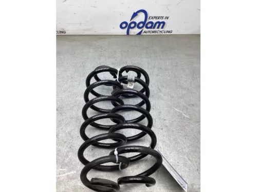 Schroefveer achter-8293887