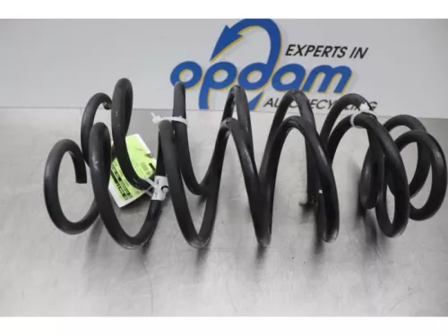 Schroefveer achter-7877747