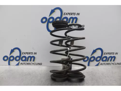 Schroefveer achter-7711978