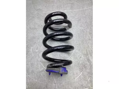 Schroefveer achter-8072378