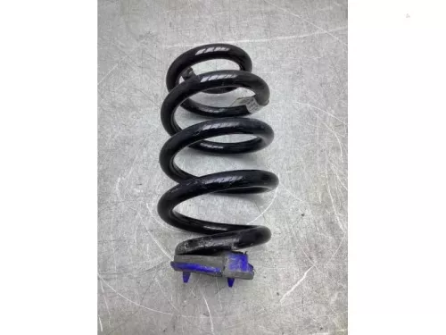 Schroefveer achter-8072378