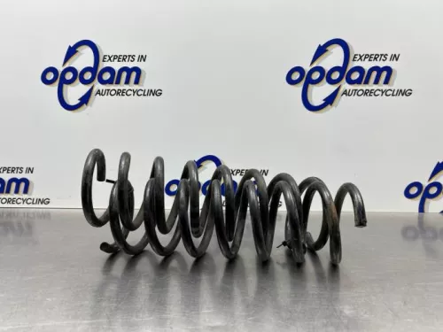 Schroefveer achter-7617478