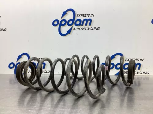 Schroefveer achter-7899588