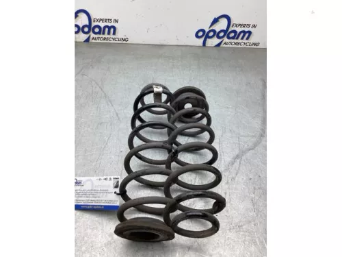 Schroefveer achter-8241374