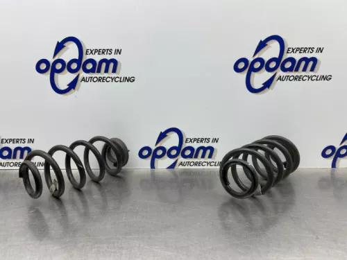 Schroefveer achter-8224794