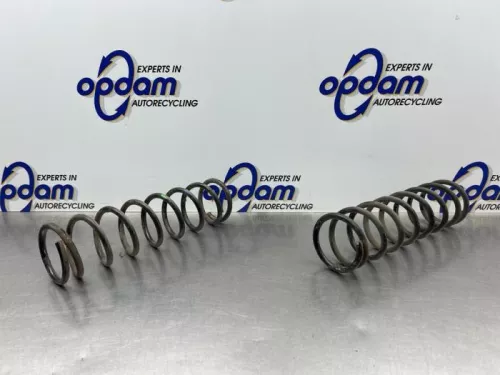 Schroefveer achter-8321332