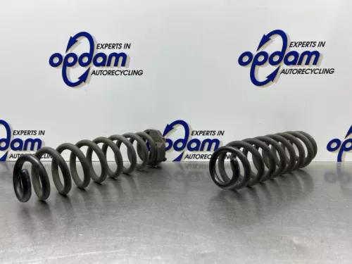 Schroefveer achter-8200924