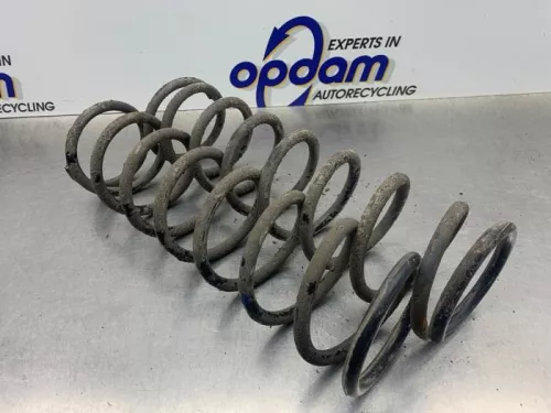 Schroefveer achter-8310562