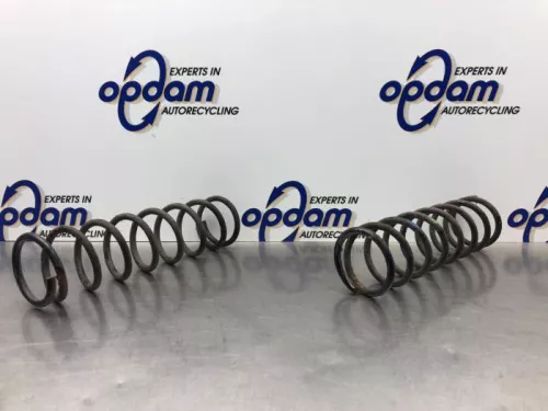 Schroefveer achter-8216724