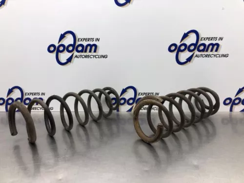 Schroefveer achter-8200752