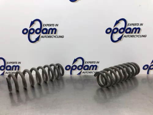 Schroefveer achter-8118688