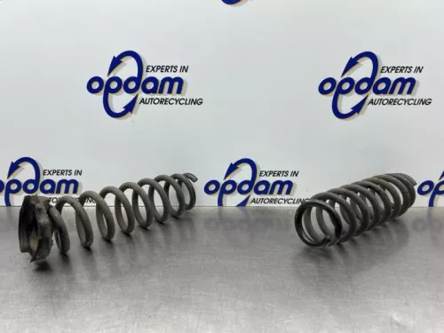 Schroefveer achter-8221220